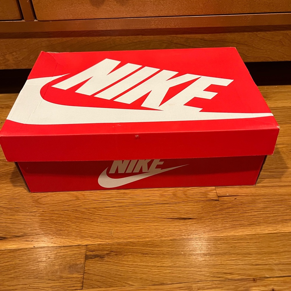 Nike Dunk High Retro size 11.5
